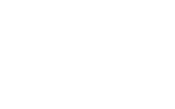 Telfly